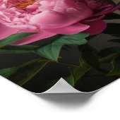 Peonies roses Flower Art Imprimer Poster (Coin)