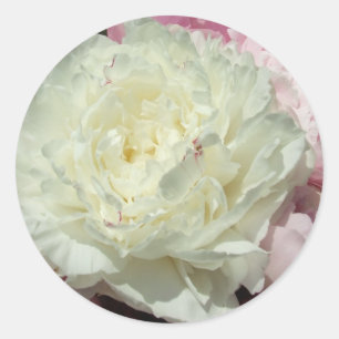 Peonines roses blanches / Stickers ronds Mariages