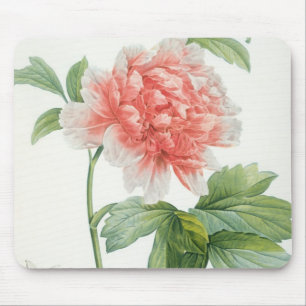 Peony, 1799 (kleurenspoeldruk) muismat