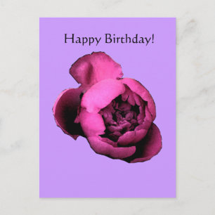 Peony Birthday Kaart