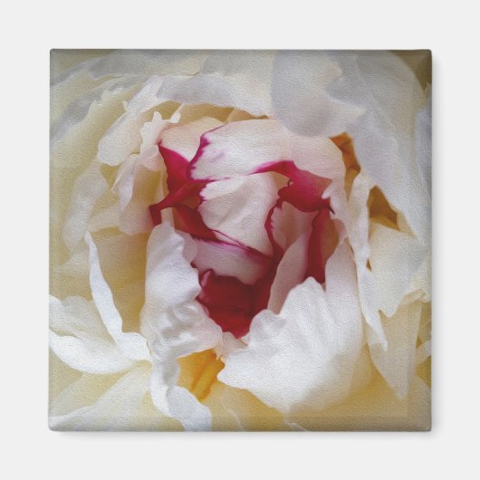 Peony-bladen Magneet (Voorkant)