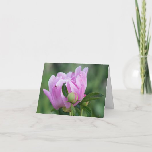 Peony blanco kaart (Voorkant)