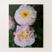 Peony-bloemen Legpuzzel (Verticaal)