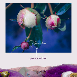 Peony bloemen na regen poster