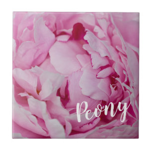 Peony Blossom Roos voor bloemen en tuinliefhebbers Tegeltje
