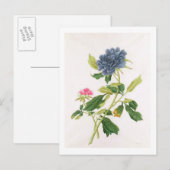 Peony Briefkaart (Voorkant / Achterkant)