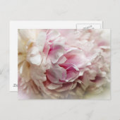 Peony Briefkaart (Voorkant / Achterkant)