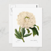 Peony Briefkaart (Voorkant / Achterkant)