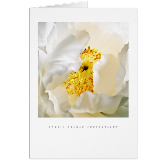 Peony Card (Voorkant)
