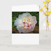 Peony, carte (Fleur jaune)