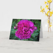 Peony, carte (Fleur jaune)