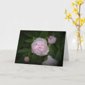 Peony, carte (Fleur jaune)