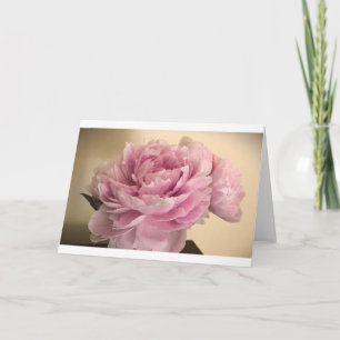 Peony, carte
