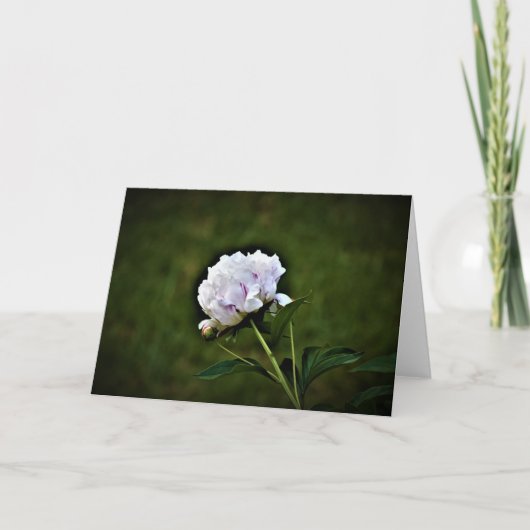 Peony, carte (Devant)