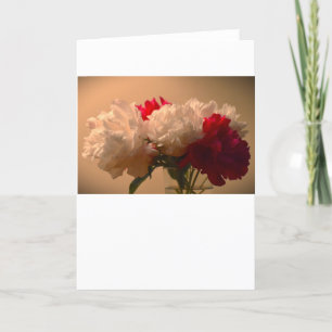 Peony, carte