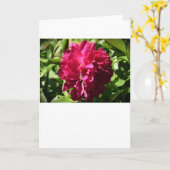 Peony, carte (Fleur jaune)