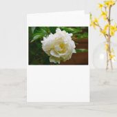 Peony, carte (Fleur jaune)