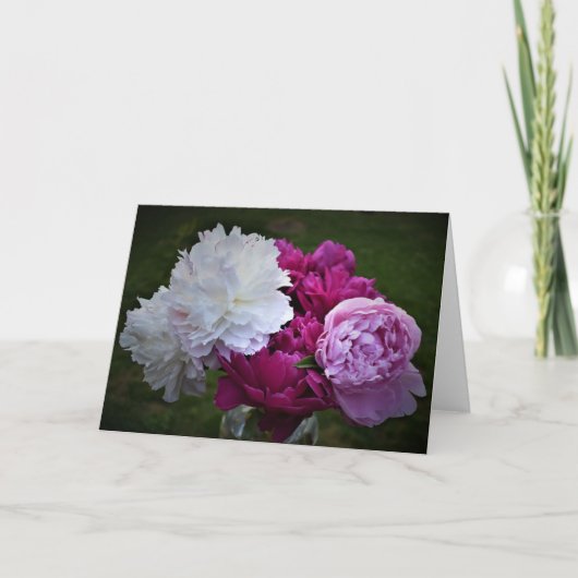 Peony, carte (Devant)