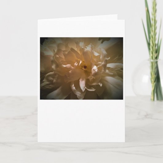 Peony, carte (Devant)