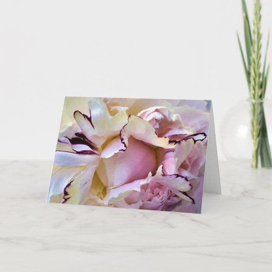 Peony, carte (Devant)