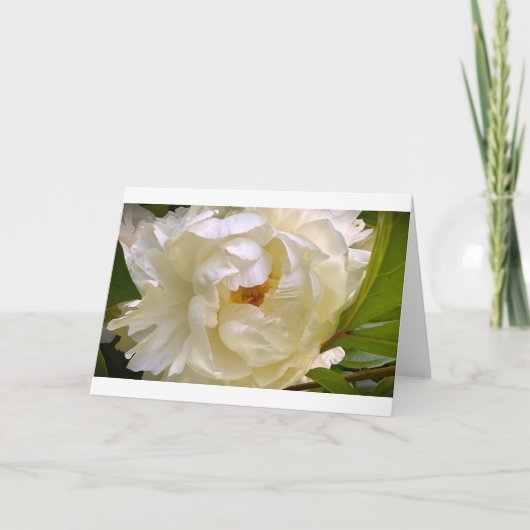 Peony, carte (Devant)