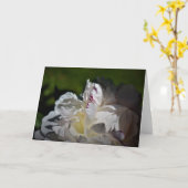 Peony, carte (Fleur jaune)