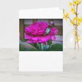 Peony, carte (Fleur jaune)