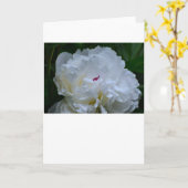 Peony, carte (Fleur jaune)