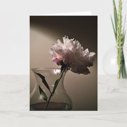 Peony, carte (Devant)