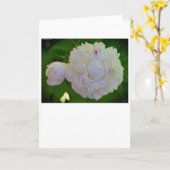 Peony, carte (Fleur jaune)