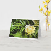 Peony, carte (Fleur jaune)