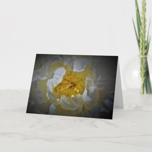 Peony, carte (Devant)