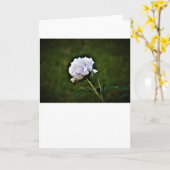 Peony, carte (Fleur jaune)