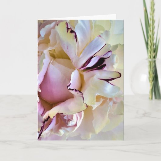 Peony, carte (Devant)