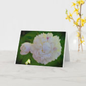 Peony, carte (Fleur jaune)