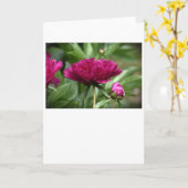 Peony, carte (Fleur jaune)