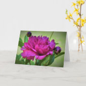Peony, carte (Fleur jaune)