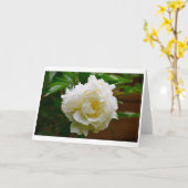 Peony, carte (Fleur jaune)