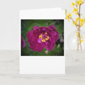Peony, carte (Fleur jaune)