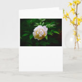 Peony, carte (Fleur jaune)