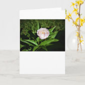 Peony, carte (Fleur jaune)