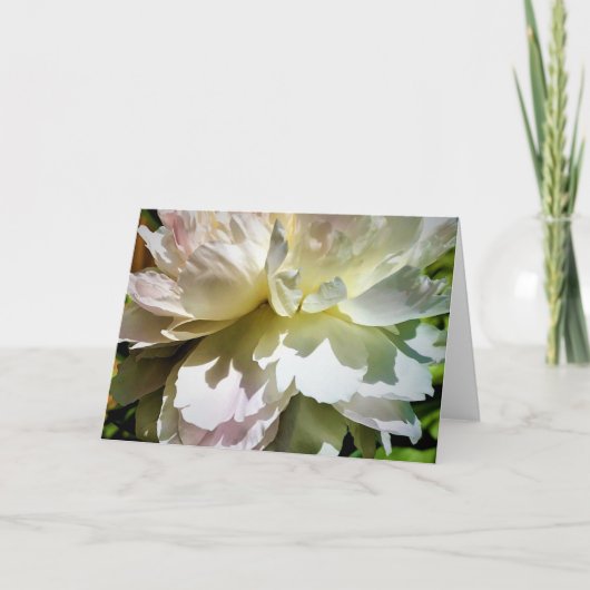 Peony, carte (Devant)