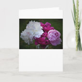 Peony, carte (Devant)