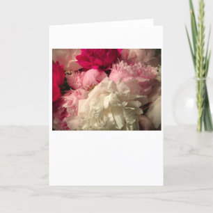 Peony, carte