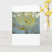 Peony, carte (Fleur jaune)