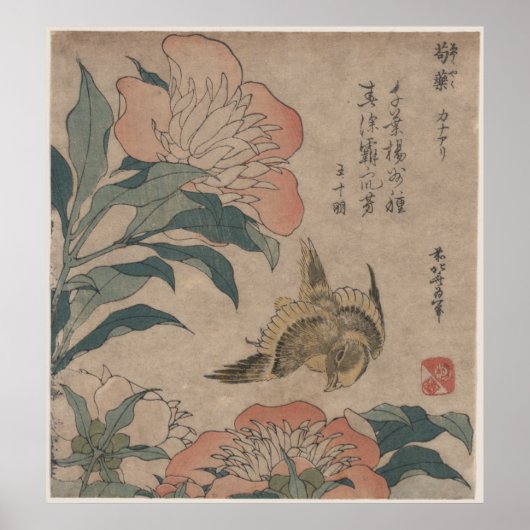 Peony en Canarische Eilanden door Katsushika Hokus Poster (Voorkant)
