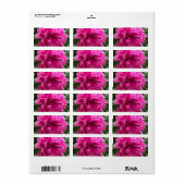 Peony Étiquettes de adresse (Feuille entière)