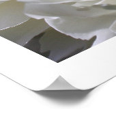 Peony Flame Print (Hoek)