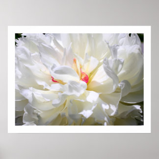 Peony Flame Print