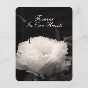 Peony Floral Photography 1 Funeral Announement Kaart